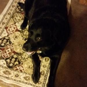 Meet your Posher, Linda